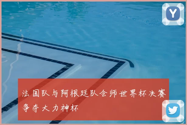 法国队与阿根廷队会师世界杯决赛争夺大力神杯