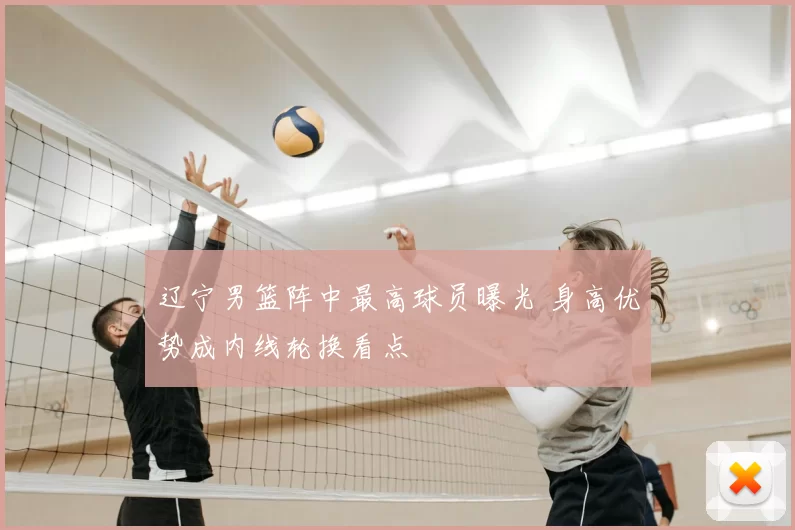 辽宁男篮阵中最高球员曝光 身高优势成内线轮换看点
