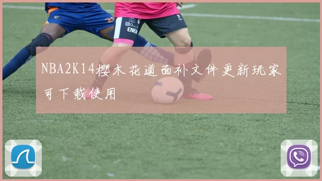 NBA2K14樱木花道面补文件更新玩家可下载使用