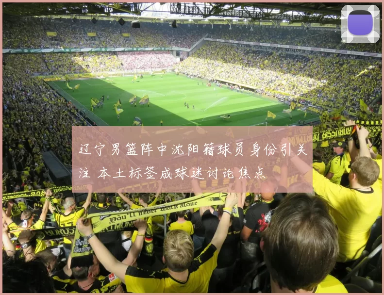 辽宁男篮阵中沈阳籍球员身份引关注 本土标签成球迷讨论焦点