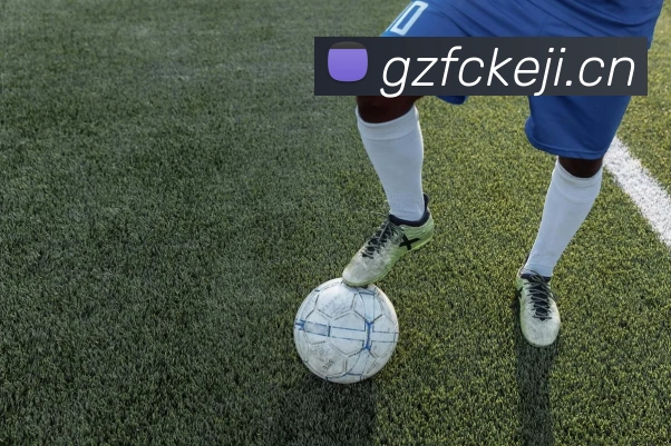 hth华体网页版登录入口 - 华体(中国)平台生态图